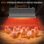 Chtoocy 300W Bulb Repalcement -Heater for 30 Chicks Or Ducklings,Adjustable Temp for Livestock Brooder Box Supplies