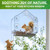 Window Squirrel Feeder - Funny Chipmunk Feeder - Easy to Install, No Assembly Needed - Includes Evergrip 4X Suction Cups - Squirrel Feeders for Outside - Squirrel House
