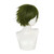 ANOGOL Hair Cap + Short Olive Green Wig for Men Olive-Green Cosplay Wigs Synthetic Hair Olive Greenish Anime Wig Olive Wigs for Halloween Party Christmas Event Dirty Grass Color Costume Wig ANOGOL Hair Cap + Short Olive Green Wig for Men Olive-Green Cosplay Wigs Synthetic Hair Olive Greenish Anime Wig Olive Wigs for Halloween Party Christmas Event Dirty Grass Color Costume Wig