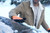 G & F Products Waterproof Winter Gloves – Insulated Cold Weather Work Gloves with HPT Palm Coating, Windproof & Abrasion-Resistant for Snow Shoveling, Construction, and Outdoor Activities, XXL 3 Pair