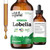 Wild & Organic Lobelia Tincture - Lung Detox and Cleanse - Liquid Lobelia Herb Supplement - Vegan, Sugar & Alcohol-Free Leaf Extract Drops - 4 fl oz