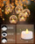 Merrynights LED Tea Lights, 24-Pack Battery Operated, Long-Lasting 200 Hour Flameless Candles, Flickering for Halloween & Fall, Warm Yellow, 1.5'' D x 1.25'' H