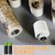 Eywamage Birch Bark Flameless Taper Candles with Remote, Short Wood LED Wax Candlesticks Flickering Battery Operated Set of 6