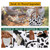 HOMESPON Lunch Bag for Woman Man Adults with Front Pocket Insulated Lunch Tote Lunch Box Container for Work Picnic or Travel(Cow)