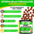 Hemp Hip and Joint Supplement for Dogs - Glucosamine for Dogs - 170 Dog Joint Pain Relief Treats - Chondroitin, Hemp Oil, MSM - Mobility & Flexibility Support - Advanced Care Health - Made in USA