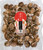 Forest-grown Japanese Dried Shiitake Donko 300g