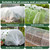 Aierden 100pcs Greenhouse Hoops, 20 Sets Garden Hoops for DIY 3.6FT or Wider Grow Tunnel, for 7FT Long Fiberglass Support Hoops Frame for Garden Fabric, Plant Support Garden Stakes Aierden 100pcs Greenhouse Hoops, 20 Sets Garden Hoops for DIY 3.6FT or Wider Grow Tunnel, for 7FT Long Fiberglass Support Hoops Frame for Garden Fabric, Plant Support Garden Stakes