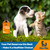 Dog Allergy Relief for Puppies & Adult Ones – Cat & Dog Itching Skin Relief Helps with Irritation & Supports General Well-Being – Cat Itchy Skin Treatment with Organic Composition – 2 Oz Bottle