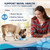 Forza10 - Dog Food, Vet Formulated Wet Dog Food for Kidney Support, Non-GMO, Lamb Flavor, Made in Italy (3.5 oz, 12 Pack)