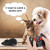 Aerbee Remote Control Rat Toy, Electronic RC Mouse Toy Emulation Flocking Rat Toy Interactive Cat Toys Pet Toys Funny Wireless Chasing Prank Joke Scary Trick Rats Animal for Pets Novelty Gift