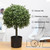Veryhome Artificial Topiary Boxwood Trees Set of 2, 23.6inch Artificial Potted Shrubs, Faux Ball Plants White Fruits in Pot for Indoor and Outdoor, Home, Garden Decor(Green)
