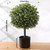 Veryhome Artificial Topiary Boxwood Trees Set of 2, 23.6inch Artificial Potted Shrubs, Faux Ball Plants White Fruits in Pot for Indoor and Outdoor, Home, Garden Decor(Green)