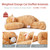 Niuniu Daddy 20" | 3.3 Pound Weighted Cat Stuffed Animals for Adults, Orange Cat Plush Toy for Toddler Teens Kids, Large Orange Kitty Plushy Pillow with Soft Fur for Present Christmas Birthday Niuniu Daddy 20" | 3.3 Pound Weighted Cat Stuffed Animals for Adults, Orange Cat Plush Toy for Toddler Teens Kids, Large Orange Kitty Plushy Pillow with Soft Fur for Present Christmas Birthday