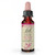 Bach Original Flower Remedies, Willow (Non-Alcohol Formula) - Forgive & Forget - Natural Homeopathic Flower Essence for Emotional Balance - Vegan, Gluten Free, Sugar Free - 10mL Dropper
