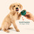 WOOF Pupsicle - Long-Lasting Interactive Dog Ball Toy to Keep Your Pup Busy and Distracted - Safe for Dogs - Low-Mess Design - Dog Toys for Medium and Large Dogs 25-75 lbs