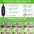 LBW Latest Grow Light for Indoor Plants, 428 LED Dual-Head Full Spectrum Standing Plant Light, Floor Grow Lamp with 3/6/12H Timer, 6 Brightness Levels, 3 Switch Modes, 75" Adjustable Tripod Stand LBW Latest Grow Light for Indoor Plants, 428 LED Dual-Head Full Spectrum Standing Plant Light, Floor Grow Lamp with 3/6/12H Timer, 6 Brightness Levels, 3 Switch Modes, 75" Adjustable Tripod Stand