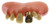Billy Bob Teeth, Inc. Mens Big Cletus Gold Teeth One Size Fits Most Off-White