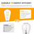 TOKCON 12V LED Edison Light Bulbs - Daylight 5000K 6W(Only for 12 Volt DC/AC) - E26 Standard Base - 60W Equivalent Dimmable ST21 Low Voltage LED Filament Bulb for RV, Off Grid, 2 Pack