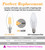 Lamsky E14 LED Bulb Dimmable,110V 400LM 40W Equivalent Warm White 3000K,E14 European Base Candelabra LED Bulbs,C35 Clear Glass Torpedo Shape Bullet Top(12-Pack)