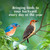 C&S Wild Bird Bluebird Suet Nuggets Mega Box, 8 Pounds