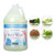 Ginger Lily Farms Botanicals Nourishing Body Wash, Island Tranquility, 100% Vegan & Cruelty-Free, Green Tea Lemongrass Scent, 1 Gallon Refill (128 fl. oz.)