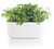 Eva Solo | Self-Watering Herb Organiser | Keeps Indoor House Plants, Flowers, Herbs & Vegetables Watered & Healthy | Danish Design, Functionality & Quality | White Eva Solo | Self-Watering Herb Organiser | Keeps Indoor House Plants, Flowers, Herbs & Vegetables Watered & Healthy | Danish Design, Functionality & Quality | White