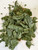 Organic Bio Herbs-Dried Smoke Tree 2 oz – All-Natural, Premium Quality Smoke Bush (Cotinus) – Sustainable, Eco-Friendly, Non-GMO, Perfect for Herbal Use 2 oz.