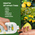 16oz Lemon Tree Fertilizer - Makes 16 Gallons of 2-in-1 Liquid Fertilizer, 4-3-6 NPK Liquid Plant Food with Macronutrients + Micronutrients for Lush Growth, Stronger Roots, and Juicy Lemons