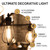 Hudson Bulb Co. Vintage Incandescent Edison Light Bulbs, 60W, E26/E27 Base, 2100K Dimmable Decorative Lights, ST58 Style Warm Glow, Antique Squirrel Filament for Outdoor and Indoor Use - 6 Pack