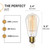 Hudson Bulb Co. Vintage Incandescent Edison Light Bulbs, 60W, E26/E27 Base, 2100K Dimmable Decorative Lights, ST58 Style Warm Glow, Antique Squirrel Filament for Outdoor and Indoor Use - 6 Pack