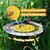 DECOHS 4 Pack Floating Bee Island- 7.87 Inch EVA Foam Floating Bee Watering Station- Butterfly Bee Waterer for Feeding, Bee Bath, Outdoor Garden Decor