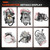 Carburetor Kit Compatible with 2003-2013 Kawasaki Prairie 360 KVF360 4x4, Replace Part # 15004-0041,51023-1402,15003-0093,15003-1686,16065-1379,14030-1054,Includes Fuel Valve Petcock & Lever