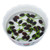 ZEshops 10pcs Mixed Color Bonsai Bowl Lotus Live Plants Pre-Sprouted - Aquatic Beauties for Indoor and Outdoor Serenity