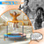 JOY SPOT! Premium 3FT Foldable Toddler Trampoline for Kids Ages 1-6, 36 Inch ASTM Certified Mini Trampoline with Adjustable Handle, 100 lbs Capacity, Quiet Elastic Bands, Safe for Indoor Outdoor Use