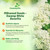 Outsidepride White Swamp Milkweed Seeds - 1000 Pcs Perennial, Heat & Humid Tolerant, Pollinator-Friendly Wildflower Seeds, Ideal for Monarch Butterflies, Cut Flowers, Borders, or Meadows