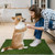 Artificial Dog Grass Pee Pad 30.5"x30.5" 2 Pack, Washable Indoor Potty Training Replacement Turf Grass Mat for Puppy, Reusable Realistic Fake Grass Patch for Dogs