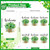 Outus 100 Pcs St. Patrick's Day Napkins Welcome Shamrocks Paper Guest Towels Disposable Green Hand Towels Clovers for Home and Kitchen Saint Patty's Day Irish Cultural Party Supplies