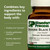 Standard Process Spanish Black Radish - Liver Health Dietary Supplement - Gallbladder Health & Digestion Cleanse Support - Gluten-Free, Non-Dairy & Non-Soy - 30 Tablets (30 Servings)