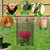 Adnee 8 Pack Wire Plant Protector with Cover-20" x 11" Detachable Metal Plant Protectors Mesh-Garden Plant Protectors for Flower Vegetable to Keep Animals Out