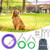 Upgraded Heavy Duty Dog Trolley System 200ft with 10ft & 15ft Tie Out Cable, Outdoor Lead for Large Dogs Up to 250lbs, Long Leash Cable for Outside Camping, Backyard, Park
