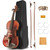 Ceciliec Violin for Beginners, Acoustic Full Size 4/4 Violin Fiddle Starter Kit, Stringed Musical Instrument w/Case, 2 Violin Bows, 2 Bridges, Strings, Cleaning Cloth