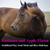 SU-PER Biotin Powder Hoof Supplement - Biotin for Horse Hoof Care & Healthy Hooves Growth - Supports Hoof Walls & Cracked Hooves - 12.5 Pounds, 6 Month Supply (180 Days)