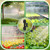 10PCS 5/16'' to 1/4'' Drip Irrigation Fittings with 4PCS Plug, Kalolary Quick Connect Drip Irrigation Part for 8/12mm to 4/7mm Tube 4 Way Anti-Leak Locked Splitter Fitting for Garden Irrigation System