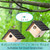 Dreyoo 1 Pack Wren House, 1-1/8'' Entrance Hole Hanging Wooden Wren Bird Houses for Outside with Metal Guard, Air Vents, Pine Wood for Chickadees(Black)