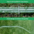 Watoo 2026 Sprinkler Hose & Soaker Hose for Yard - 150 FT Reinforced Flat Garden Hose with Holes, Heavy Duty No-Kink Lawn Irrigation Hose (Includes Stakes, High Pressure Spray)