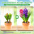 XSEINO 5LB Water Storing Crystals for Plants, Water Gel Solves Plant Over-Watering and Drought Problems, Keeps The Soil Moist, Small Water Storing Polymer Crystals for Plants