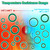 ZDBB 595 Pcs Automotive AC O Rings Kit, SAE and Metric Air Conditioning Orings Assortment Set for Car A/C Compressor and Professional Plumbing Faucet Seal Repair with 4 Pick & Hook (Green)