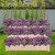 katflyee UV Resistant Artificial Outdoor Flowers, 12 Bundles Fake Outdoor Silk Flowers Fade Resistant Faux Flowers Plants for Outside Planters, Window Box, Porch Decor-Purple