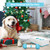 PETGEEK Interactive Dog Bone Toy, Automatic Dog Chase Toy, Electronic Pet Toys for Medium/Large Dog Boredom, USB Rechargeable Safe Material, Blue Color