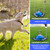 TOPKNOT Dog Tie Out Stake for Camping(up to 200lbs),360°Swivel Dog Run Stake,Heavy Dog Runner for Yard (No Cable)-Dog Stakes for Outside-Use Any Dog Tie Out Cable or Yard Leash